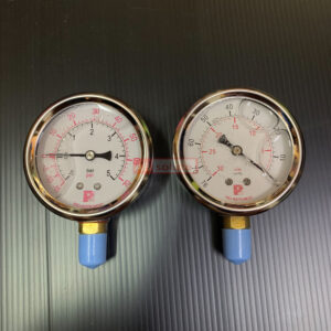 Pressure Gauge Proinstrument