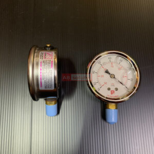 Pressure Gauge Proinstrument