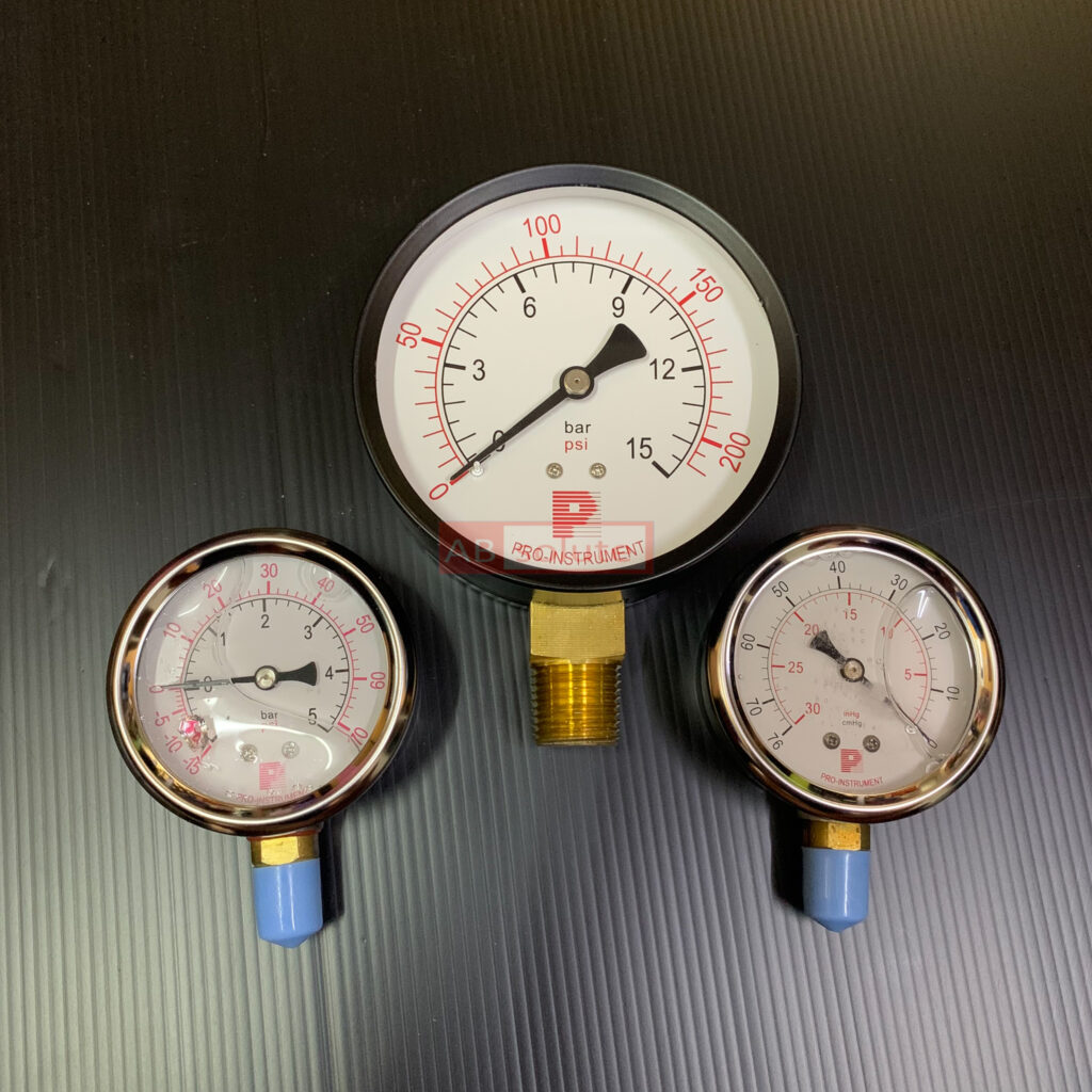 Pressure Gauge Proinstrument